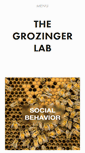 Mobile Screenshot of grozingerlab.com