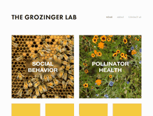 Tablet Screenshot of grozingerlab.com